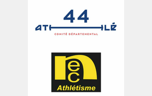 Ch Dpx 44 U18 et + (Stadium Pierre QUINON) Nantes 2/2